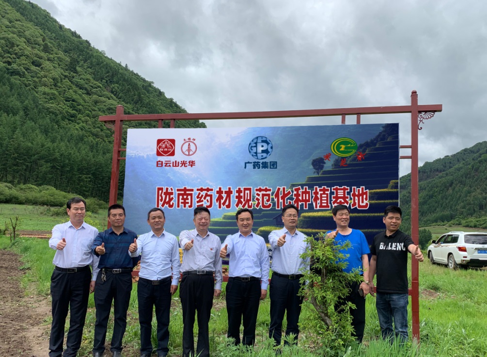 药材好，药才好 ——白云山幼柴胡颗粒北柴胡规范化种植基地正式揭牌！