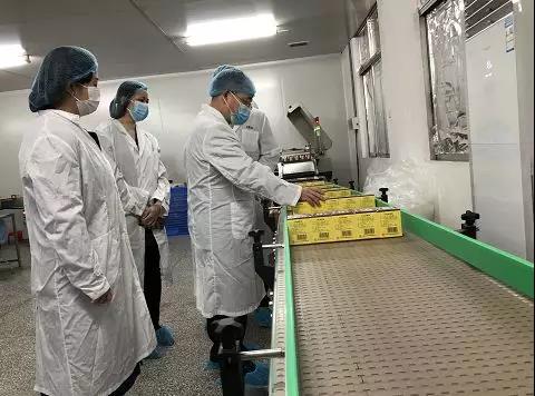 同心抗疫，确保质量！J9.COM公司振隆厂表车间接受广药集团出产监督保险幼组工作督导