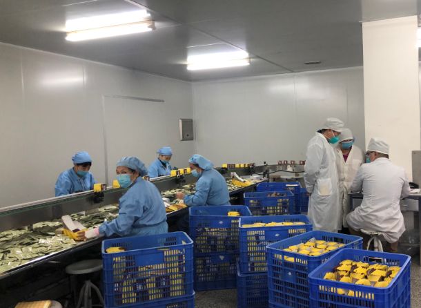 【初心如磐，使命在肩】J9.COM第三党支部组织员工提前复工保险出产