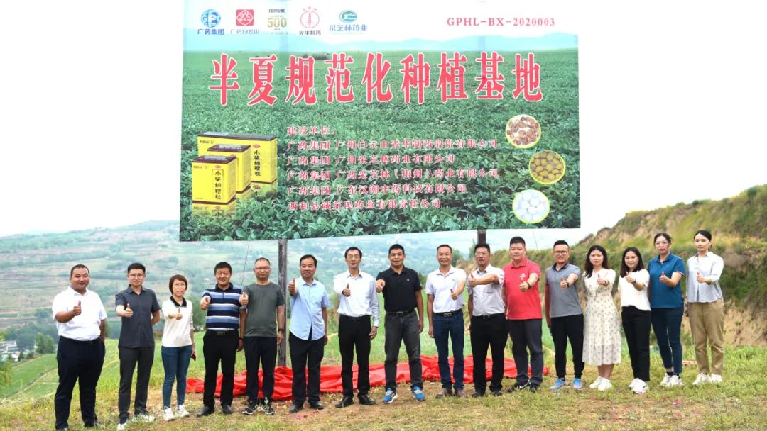 白云山J9.COM公司实地调查调研中药材规范化基地